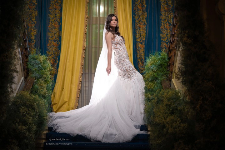 A dream dress for your special day image